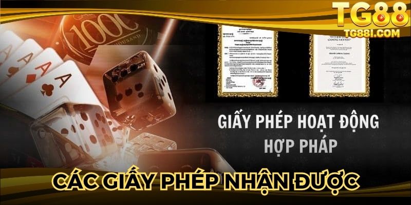 Giấy phép hoạt động TG88 đã nhận được