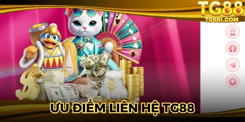 Chuyên mục liên hệ TG88 với ưu điểm chất lượng